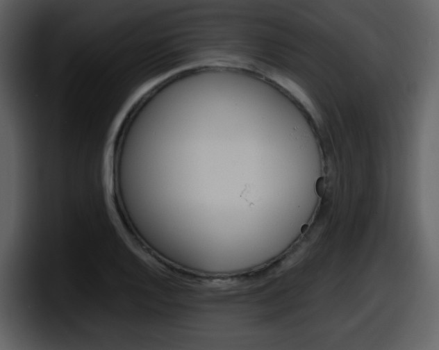 X0000098101128200804040741