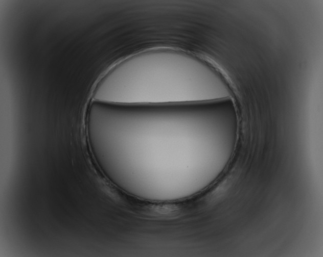 X0000098101129200804040741