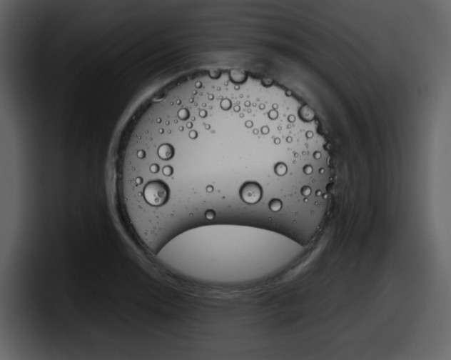 X0000098101130200804040741