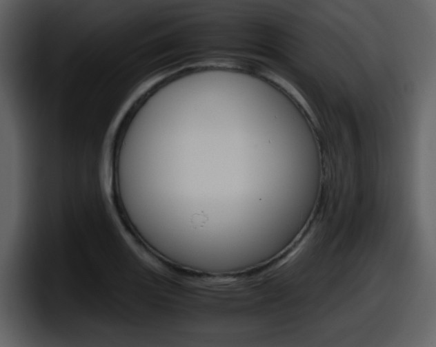 X0000098101131200804040741