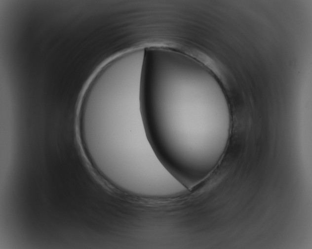 X0000098101132200804040741