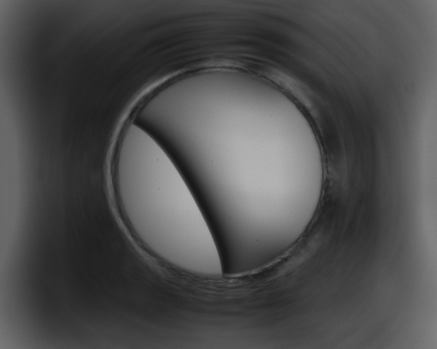 X0000098101133200804040741