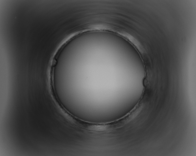 X0000098101134200804040741