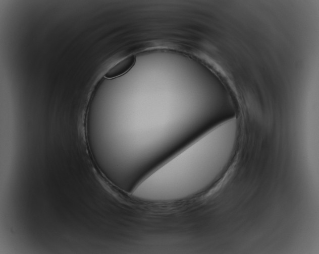 X0000098101137200804040741