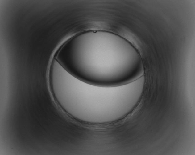 X0000098101138200804040741