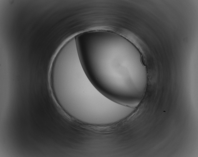 X0000098101140200804040741