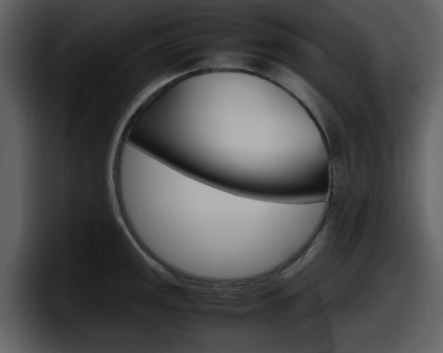 X0000098101141200804040741