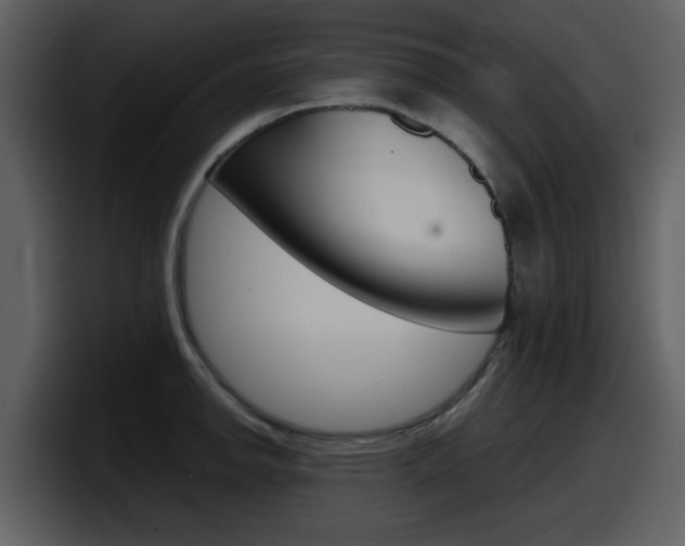 X0000098101142200804040741