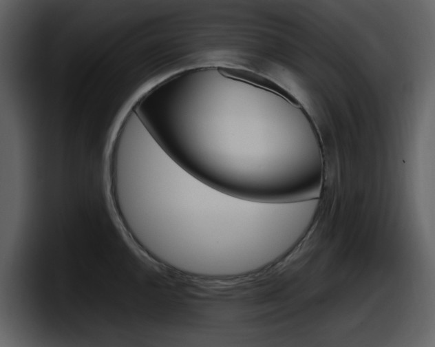 X0000098101144200804040741