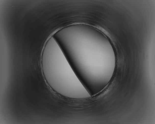 X0000098101145200804040741