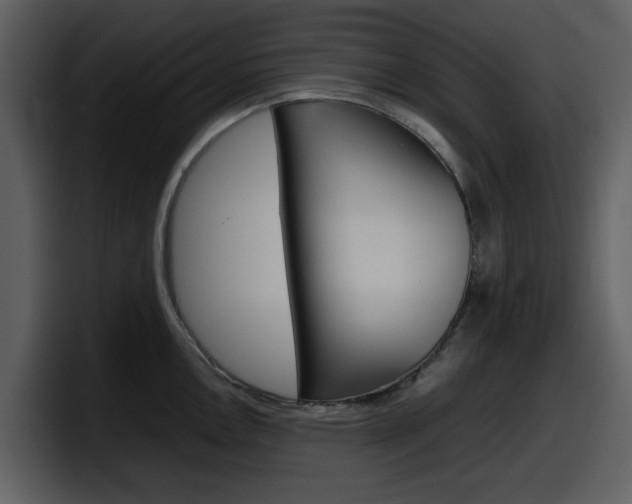 X0000098101146200804040741