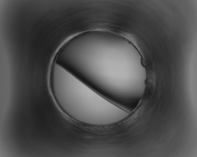 X0000098101147200804040741