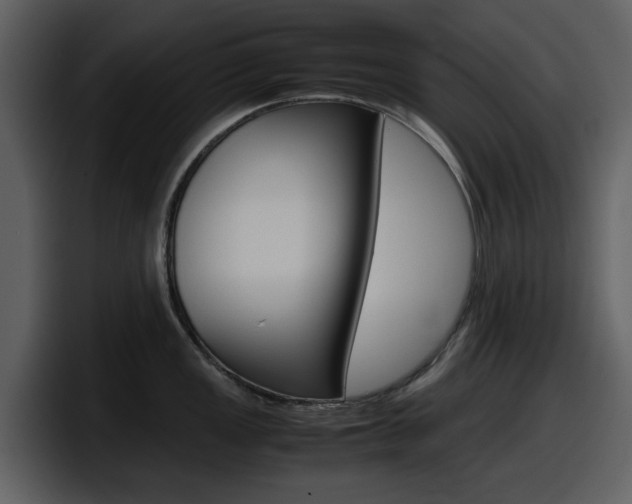 X0000098101149200804040741
