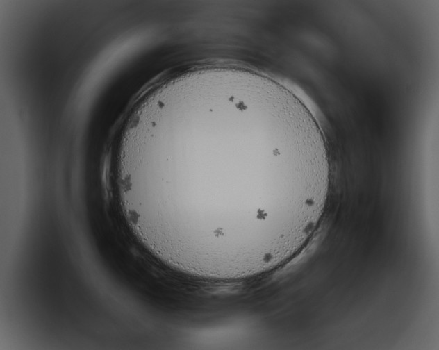 X0000098101150200804040741