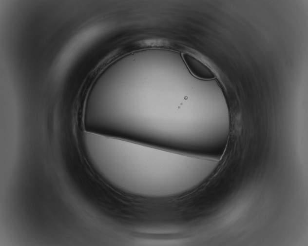 X0000098101151200804040741