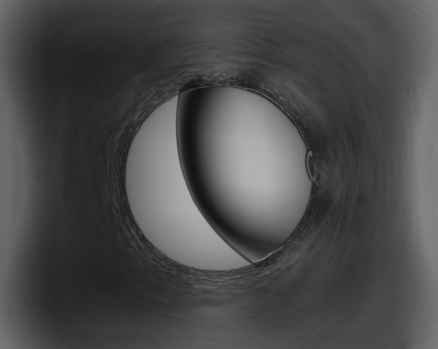 X0000098101153200804040740