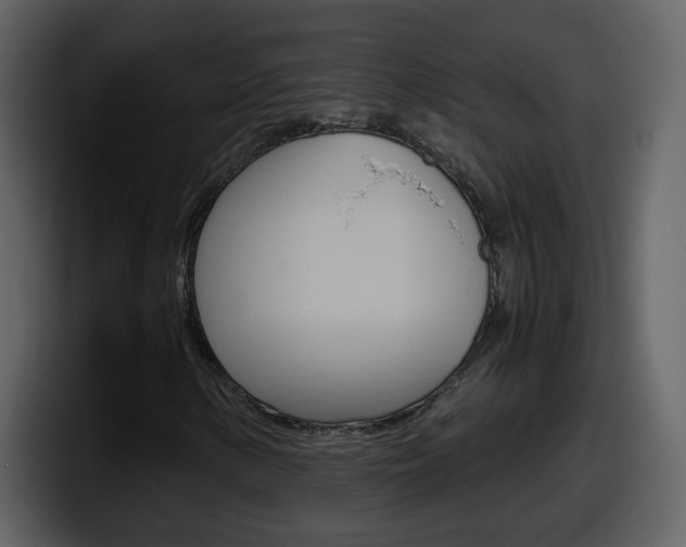 X0000098101154200804040740