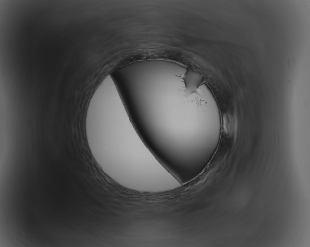 X0000098101155200804040740