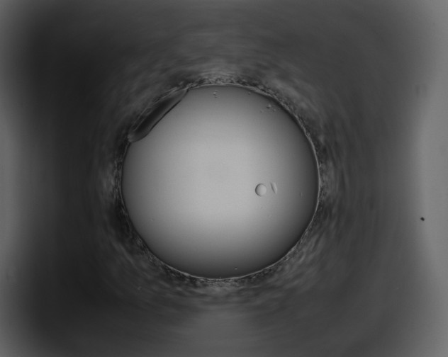 X0000098101157200804040740