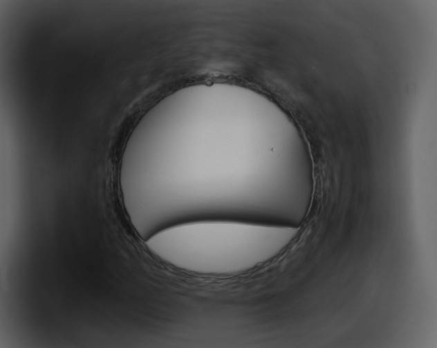 X0000098101158200804040740