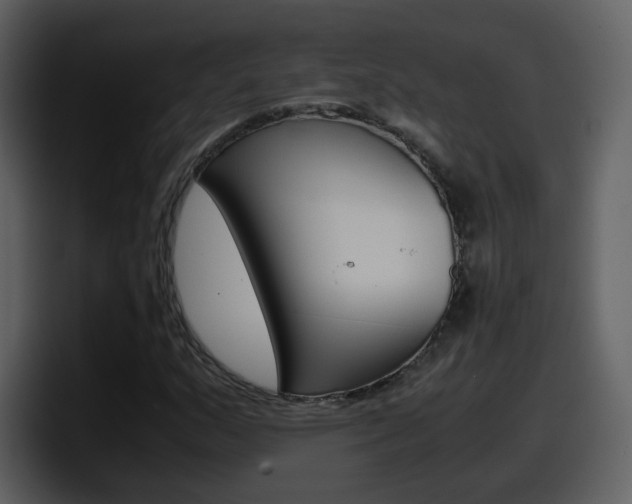 X0000098101159200804040740
