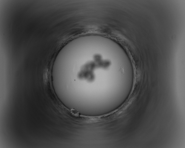X0000098101161200804040740