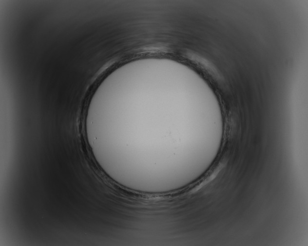 X0000098101162200804040740