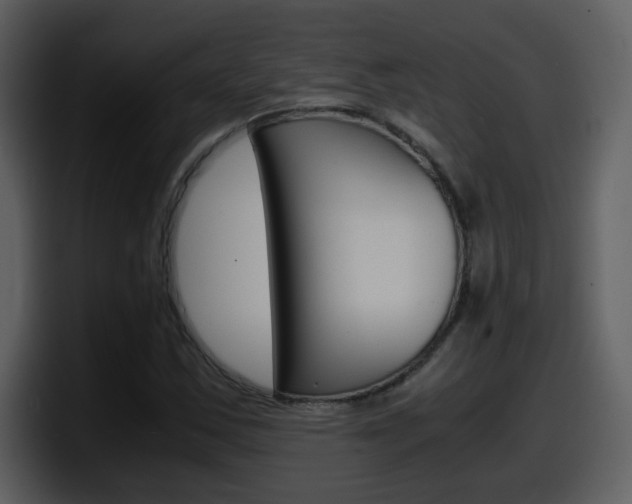 X0000098101163200804040740