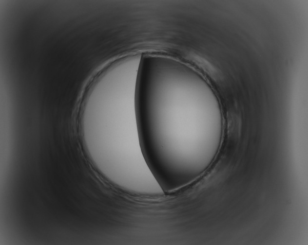 X0000098101164200804040740