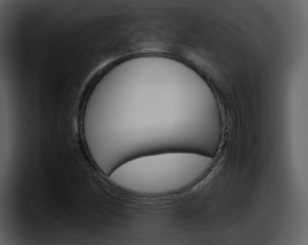 X0000098101166200804040740