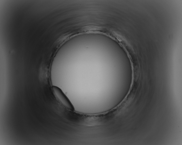 X0000098101169200804040740