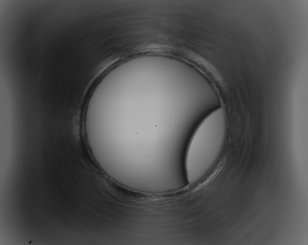 X0000098101170200804040740