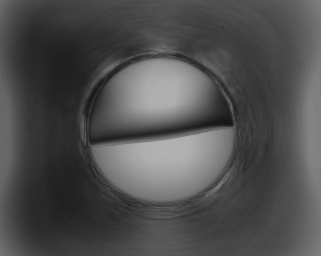 X0000098101171200804040740