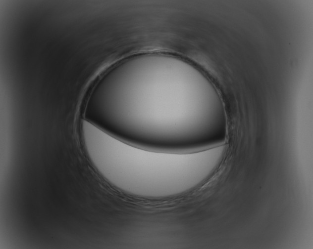 X0000098101173200804040740