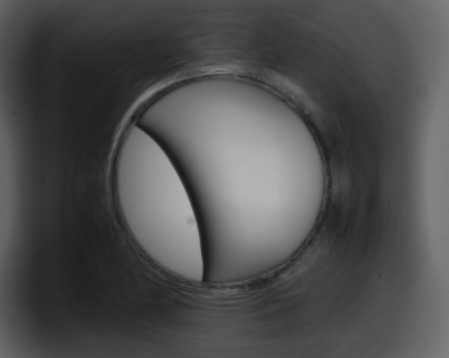 X0000098101174200804040740