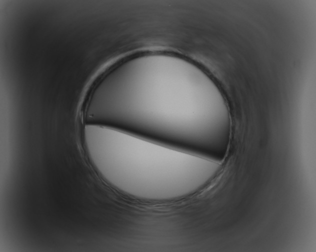 X0000098101175200804040740