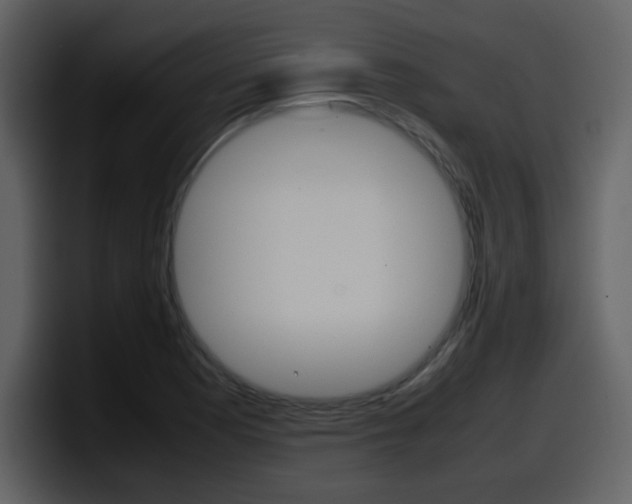 X0000098101177200804040740