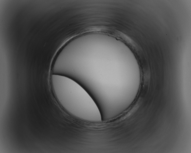 X0000098101178200804040740