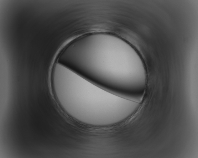 X0000098101179200804040740