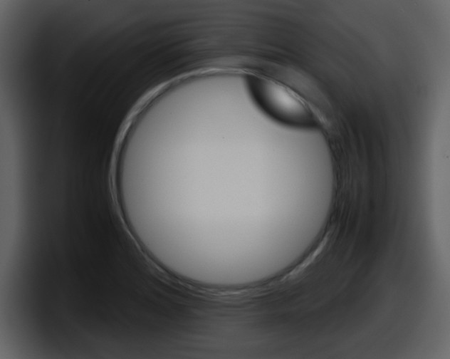 X0000098101180200804040740