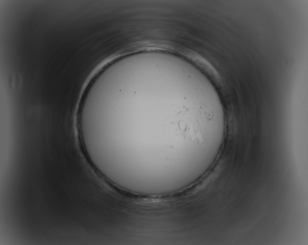 X0000098101182200804040740