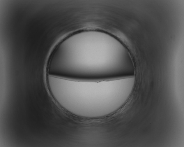 X0000098101183200804040740