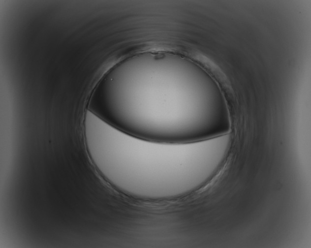 X0000098101185200804040740