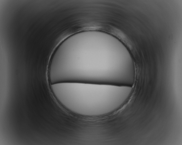 X0000098101186200804040740