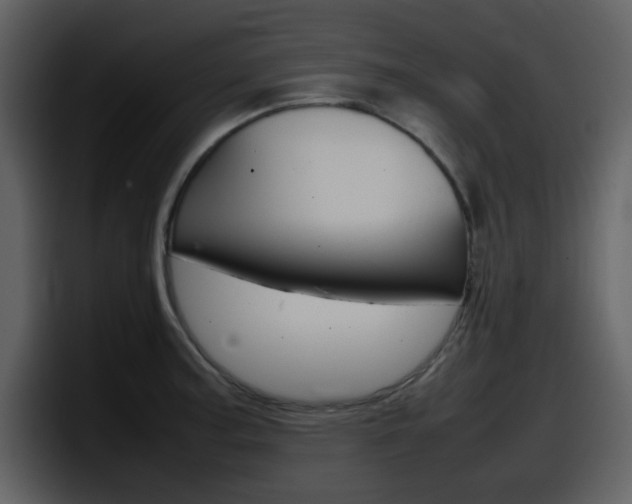 X0000098101187200804040740