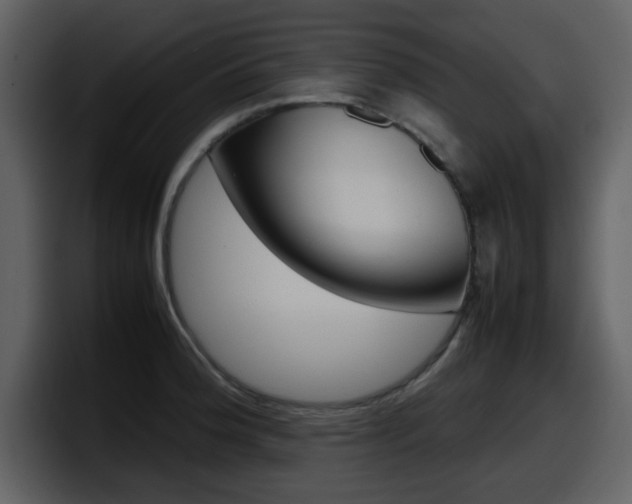X0000098101188200804040740