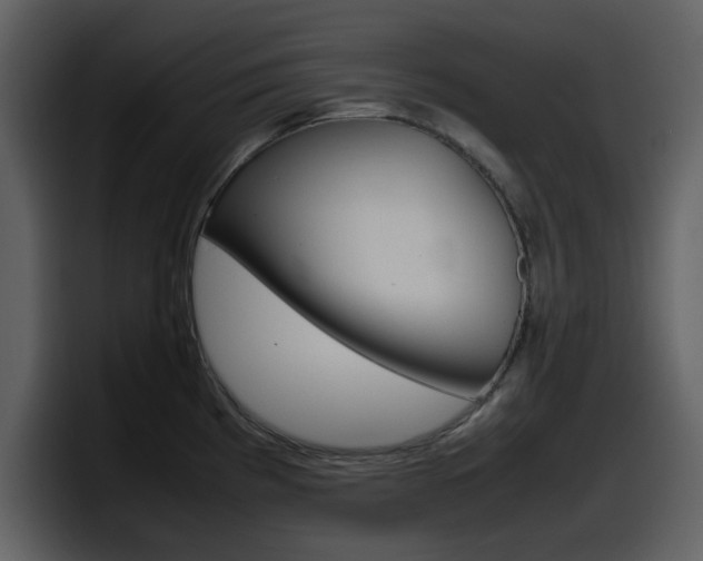 X0000098101193200804040740