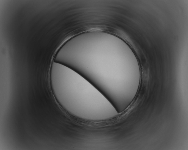 X0000098101194200804040740