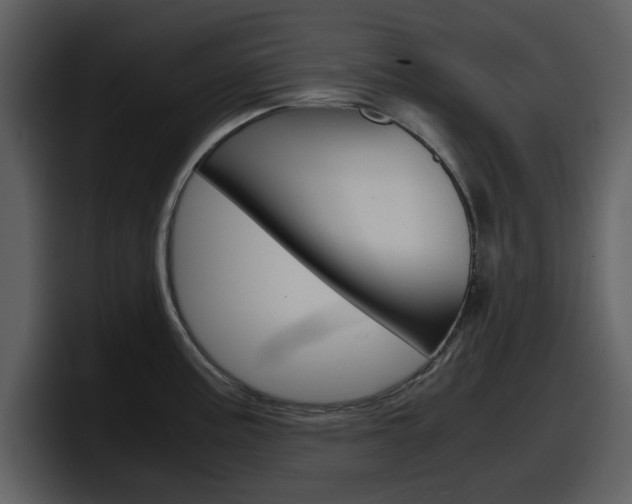 X0000098101195200804040740