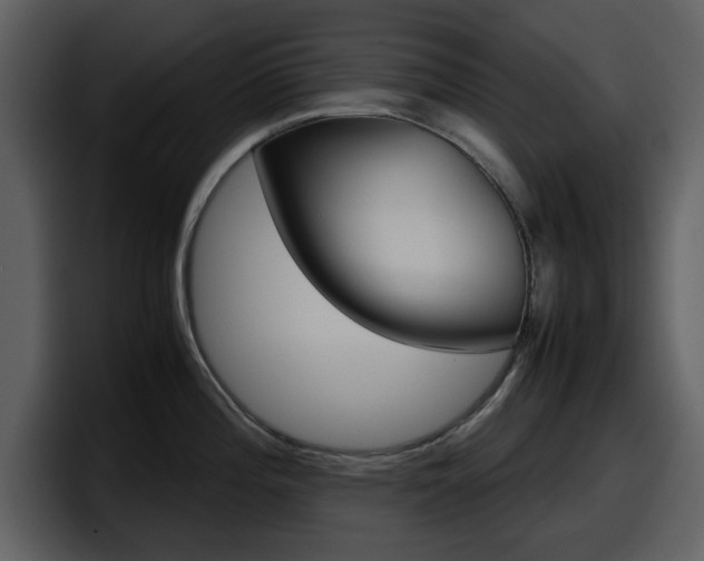 X0000098101196200804040740